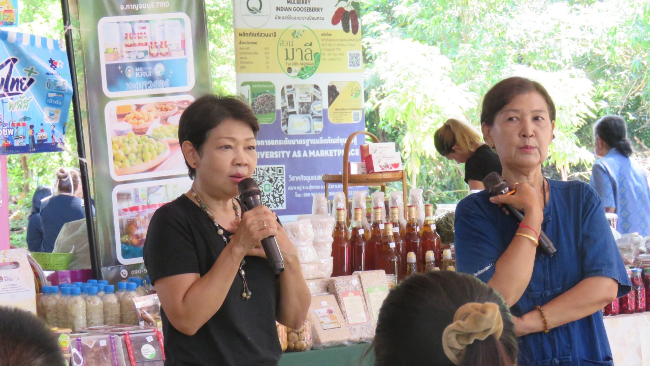 catalogs_file_378_40_36_283838.webp