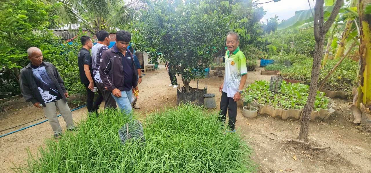 catalogs_file_379_46_1_953945.webp
