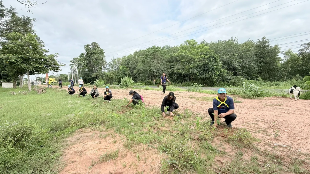catalogs_file_425_30_27_841590.webp